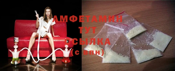 прущие грибы Вяземский