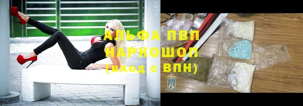 прущие грибы Вяземский