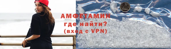прущие грибы Вяземский
