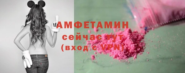 прущие грибы Вяземский