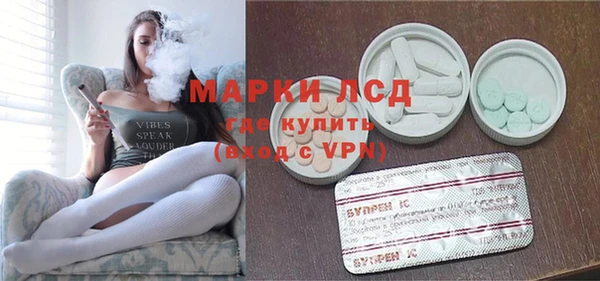 прущие грибы Вяземский