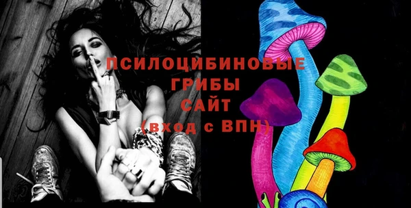 прущие грибы Вяземский