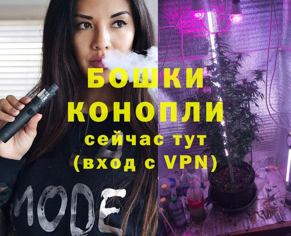 прущие грибы Вяземский