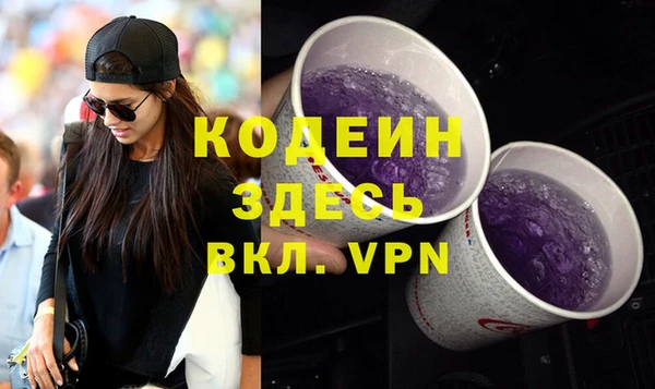 прущие грибы Вяземский