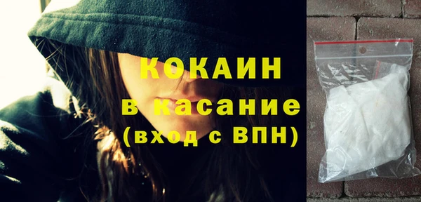 прущие грибы Вяземский