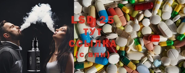 прущие грибы Вяземский