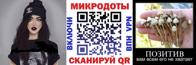 гидра как войти Норильск Галлюциногенные грибы MAGIC MUSHROOMS